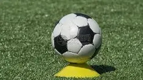 奚梦瑶分享玩具照片，网友目光转向其背后豪宅