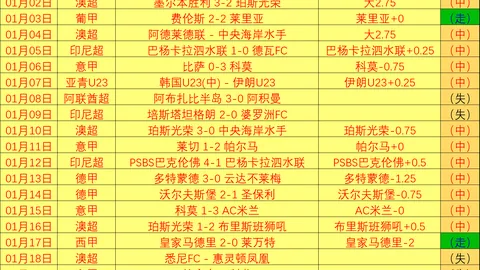 世預賽歐洲區第6輪：白俄羅斯0-1負於比利時，巴舒亞伊助比利時扳平比分